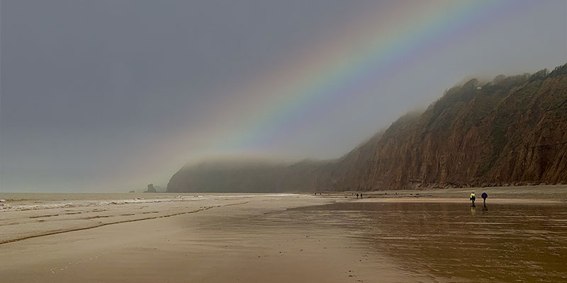 Stacks Image 532